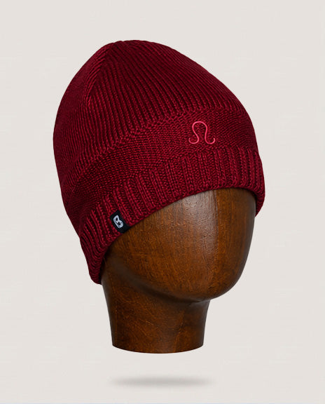 Bonnet astro lion