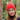 Bonnet Rouge Rando