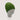 Bonnet rando vert